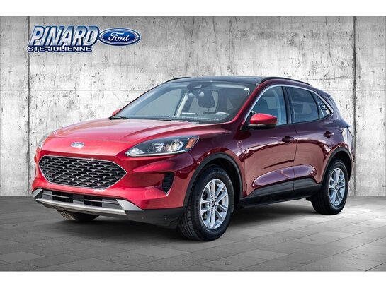 Ford Escape 2020 2020 Rouge
